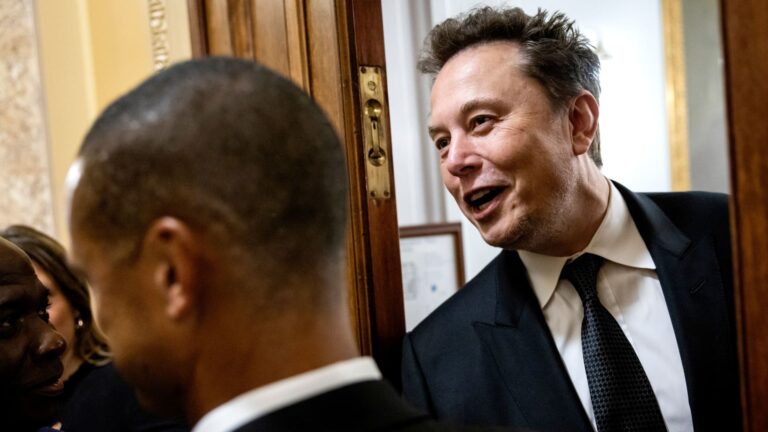 108011238 1721842633514 gettyimages 2162678859 MUSK CAPITOL HILL