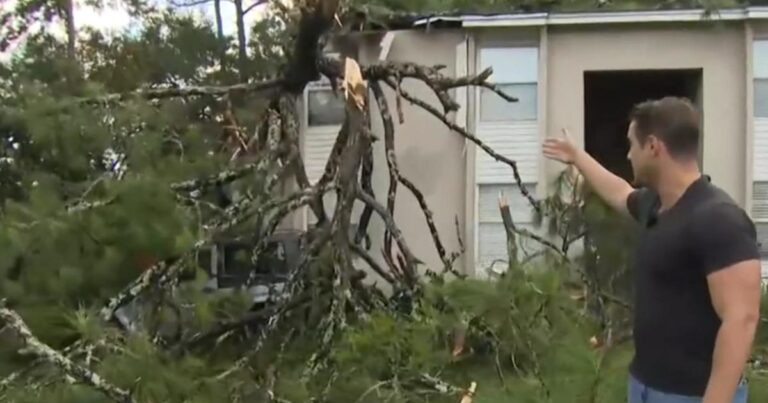 cbsn fusion hurricane helene pounds florida fema administrator on recovery thumbnail