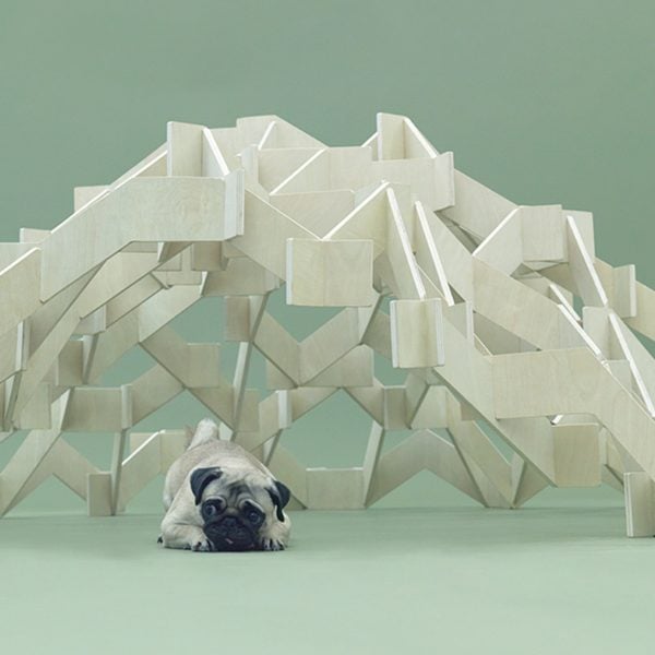 architecture for dogs milan debut hero dezeen 2364 col 0