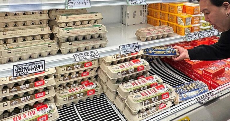 cbsn fusion bird flu supply shortages keeping egg prices high thumbnail