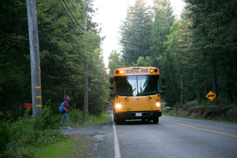 AP 5968 country bus 1024x683