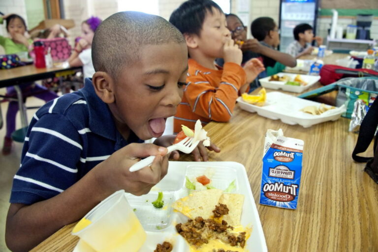 boy already eaten his steamed broccoli as would enjoy the remainder of his lunch 1024x681