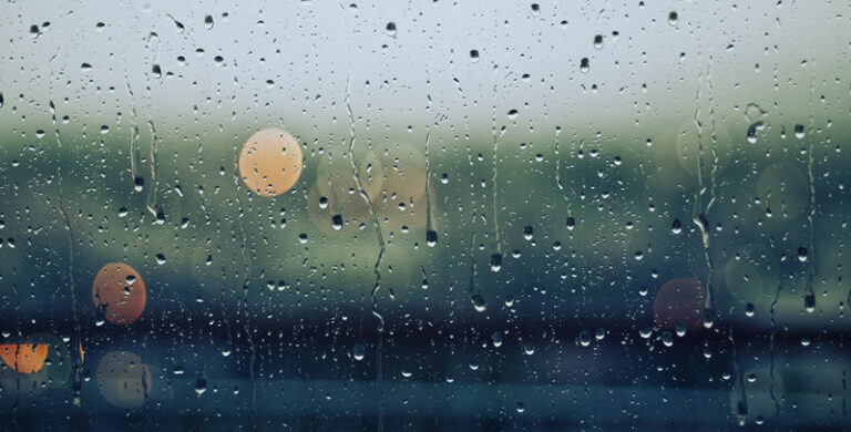 image from rawpixel id 3283535 original 1