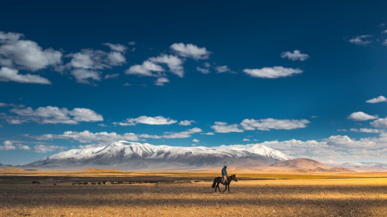 108139830 1746171606727 gettyimages 543753872 mgl2016 6365