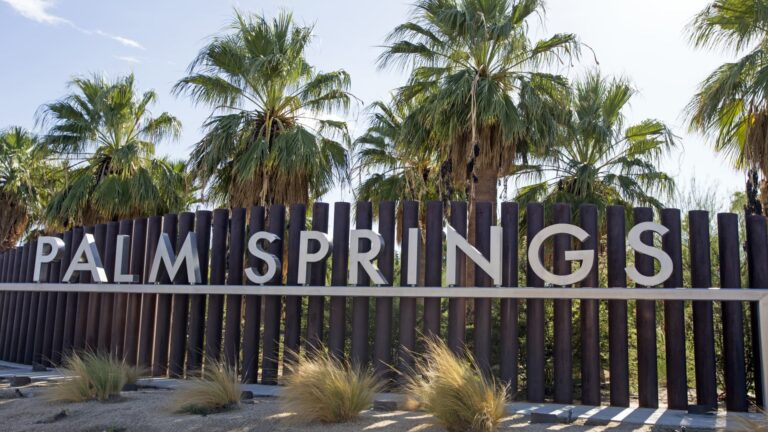 108147093 1747514432629 palmsprings