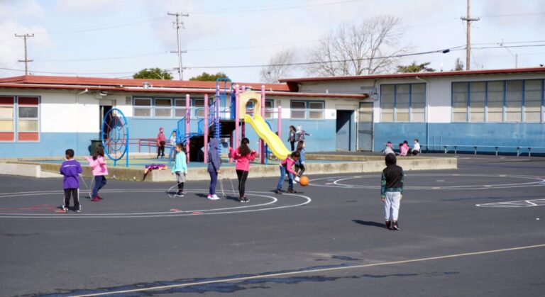 Stege Elementary30 1024x559