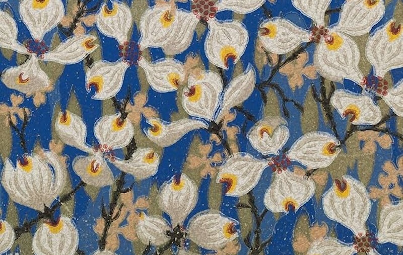 may flowers