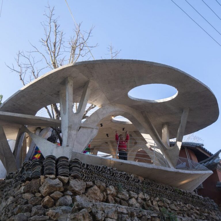 mushroom library sq dezeen 2364 sq 852x852